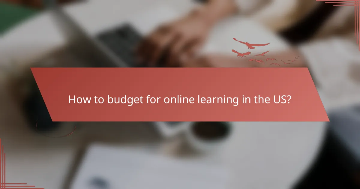 How to budget for online learning in the US?