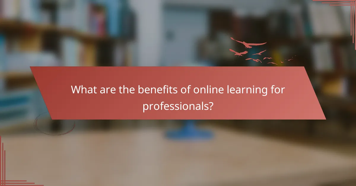 What are the benefits of online learning for professionals?